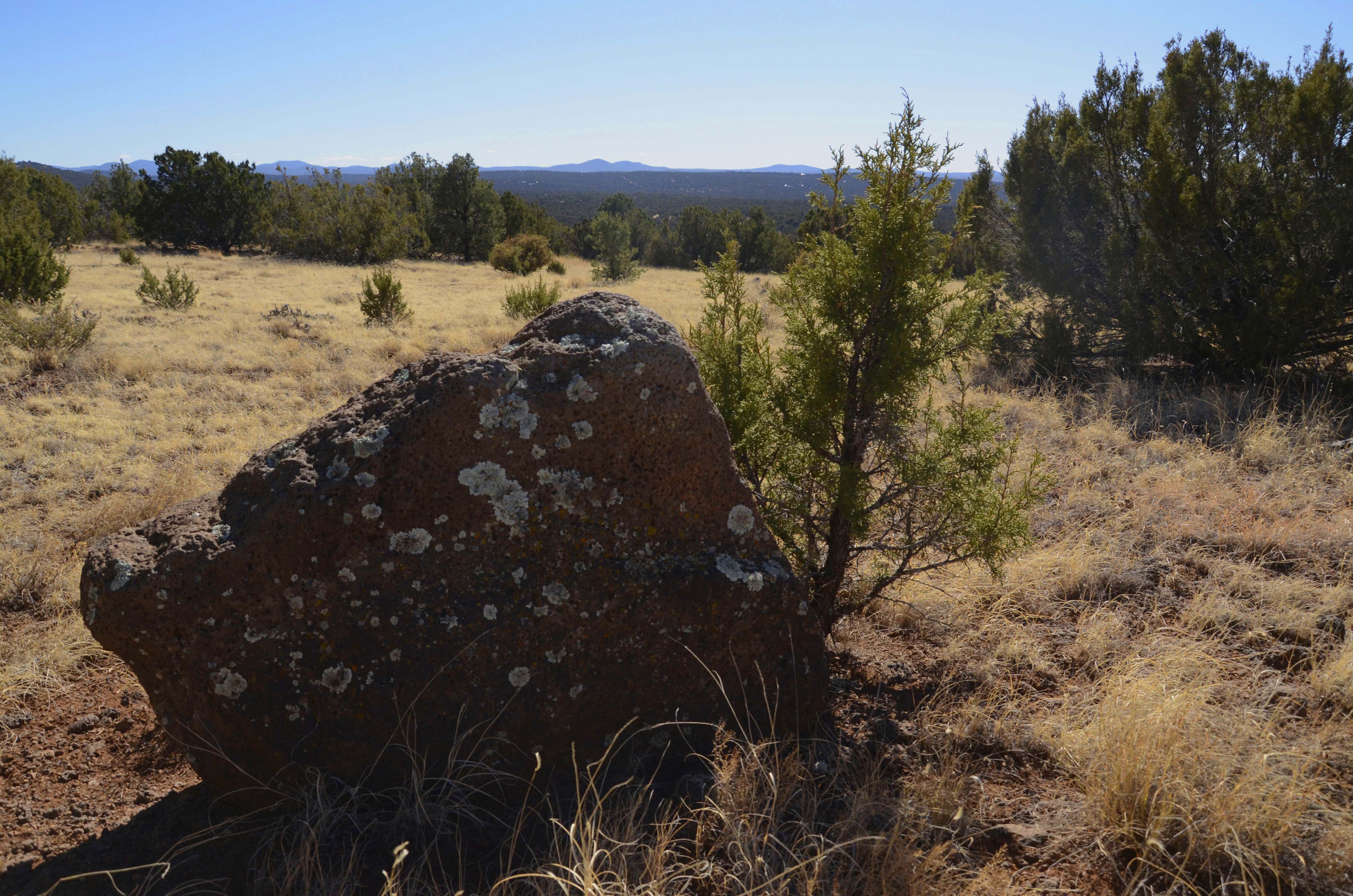 03_delaware_1.5_acres_of _land_for_sale_in_apache_county_az
