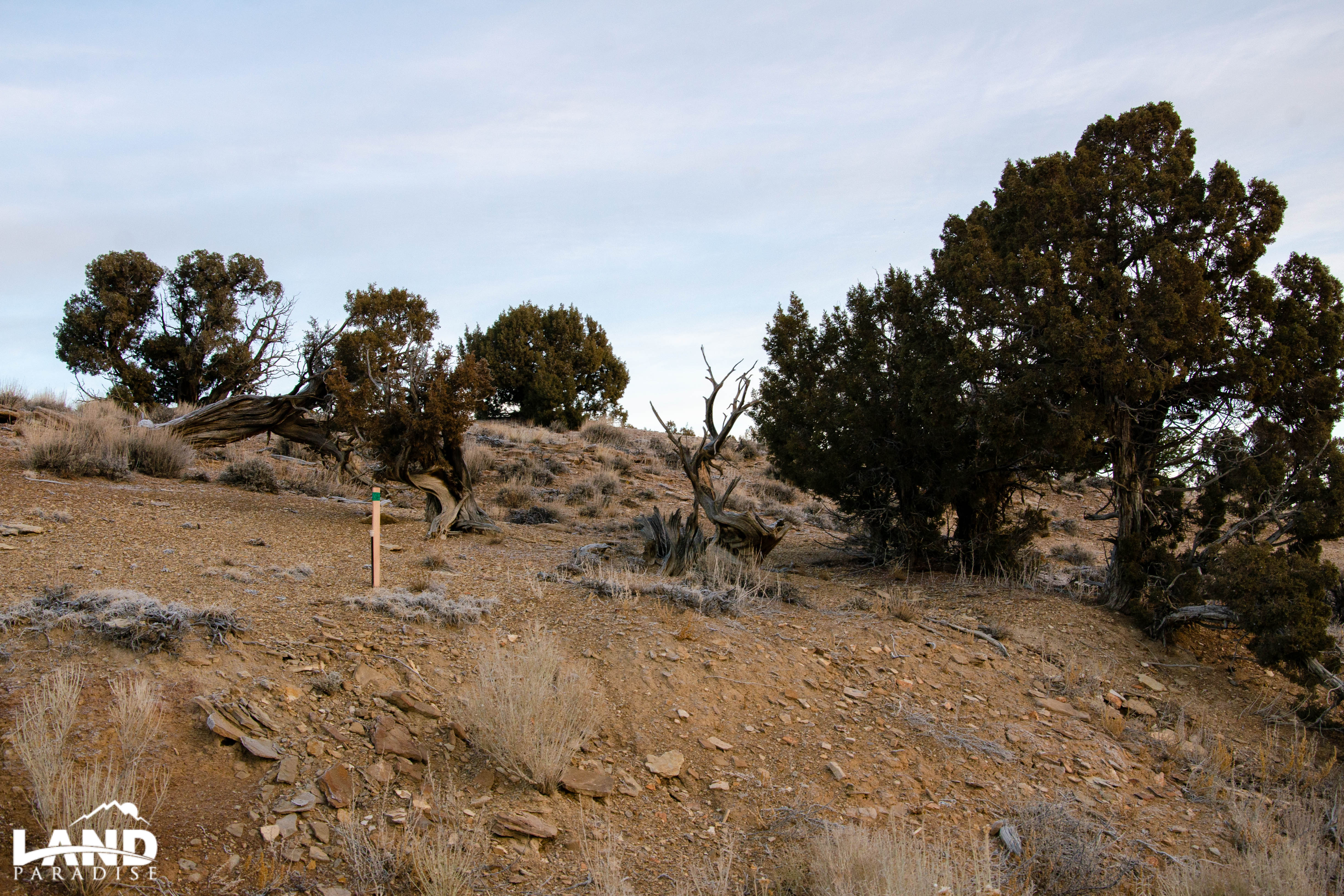 Coyote Canyon – Duchesne, UT