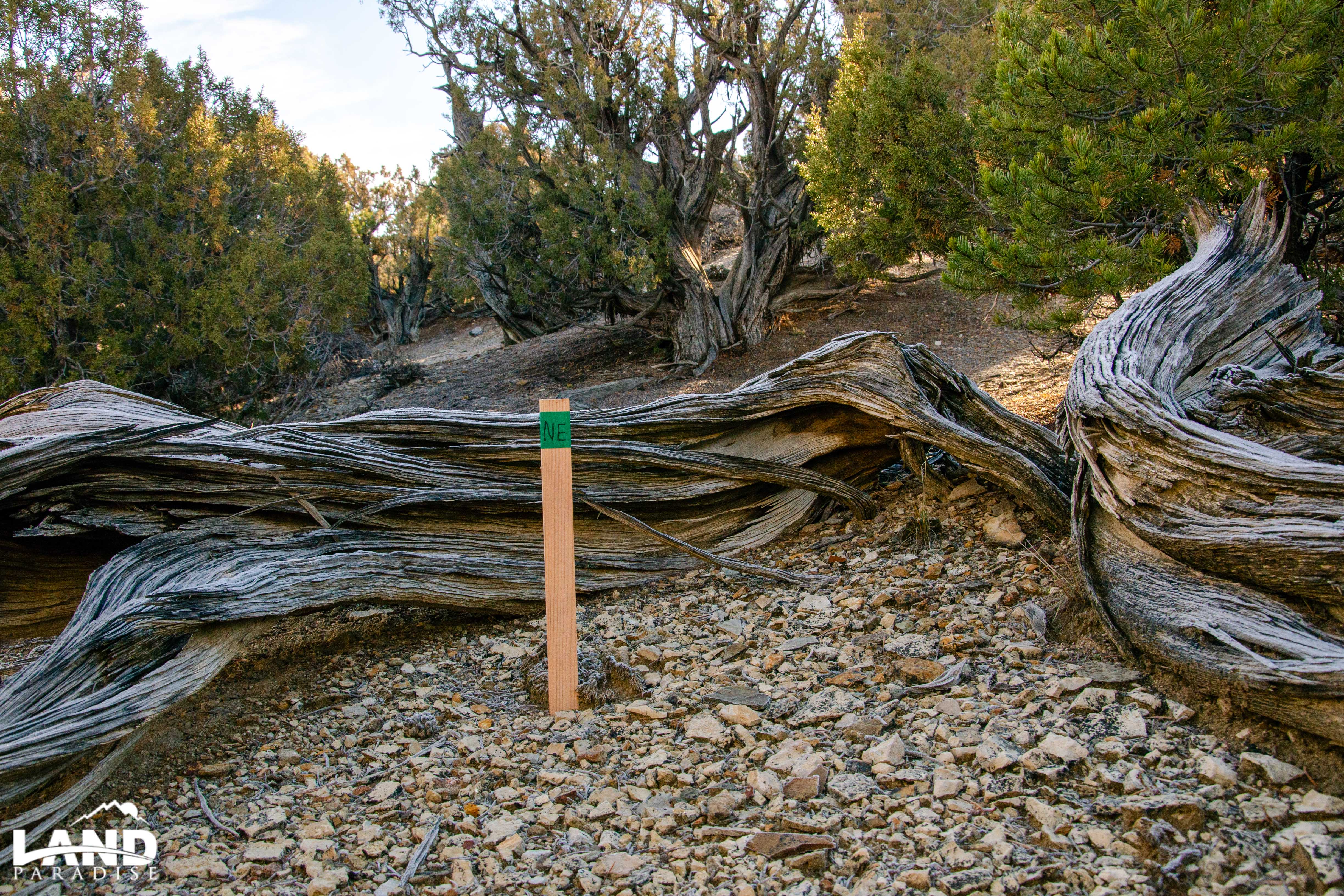 Bravery – Duchesne, UT