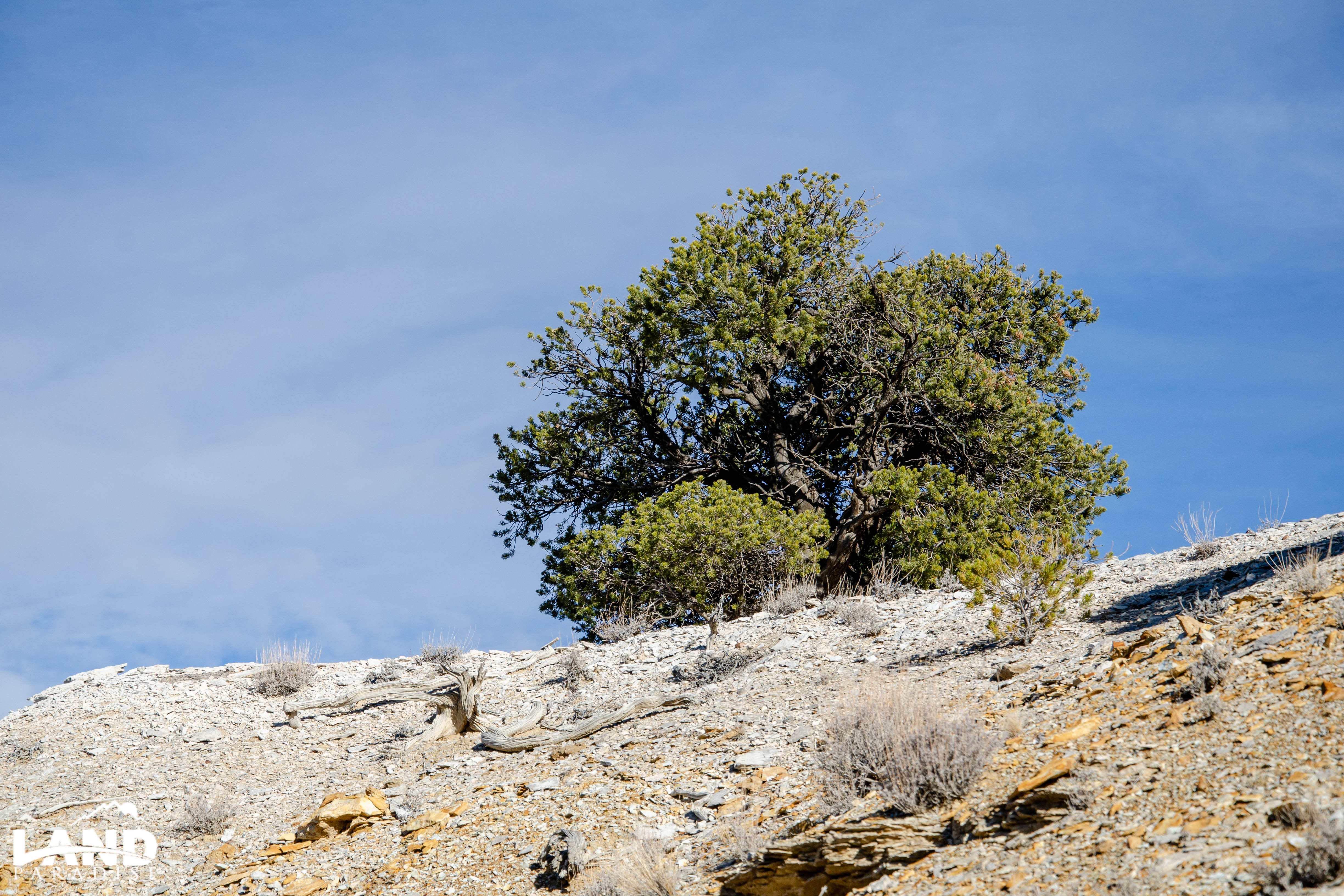 Bravery – Duchesne, UT