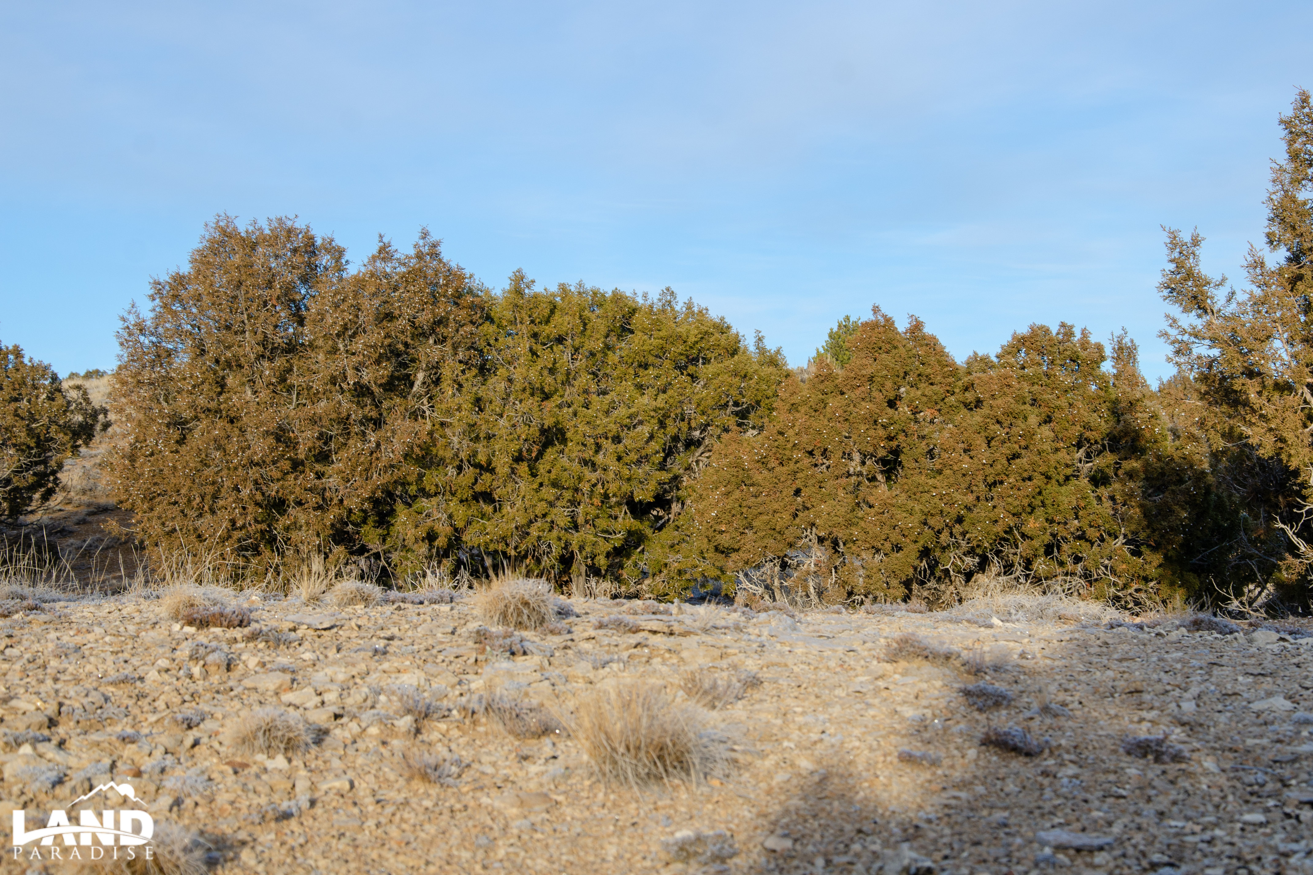 Coyote Canyon – Duchesne, UT