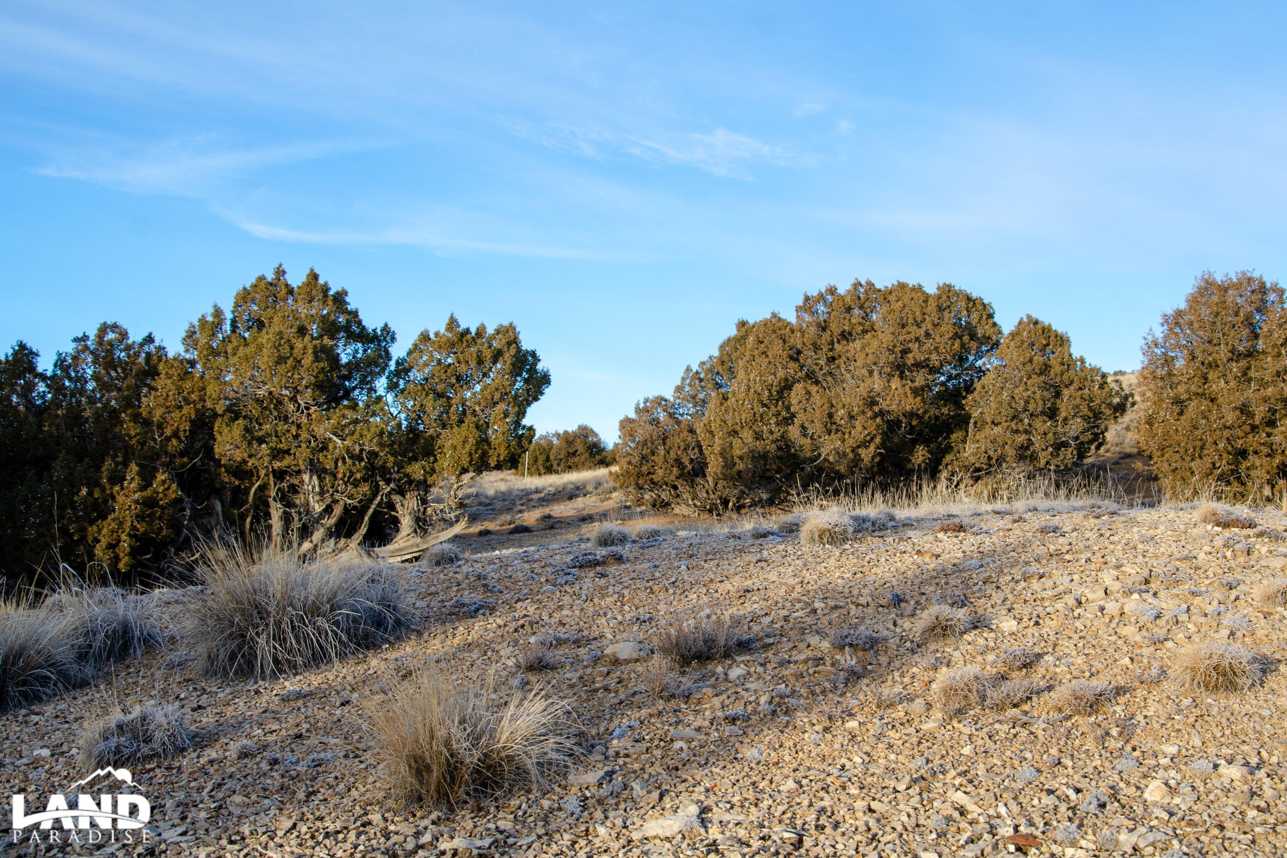 Coyote Canyon – Duchesne, UT