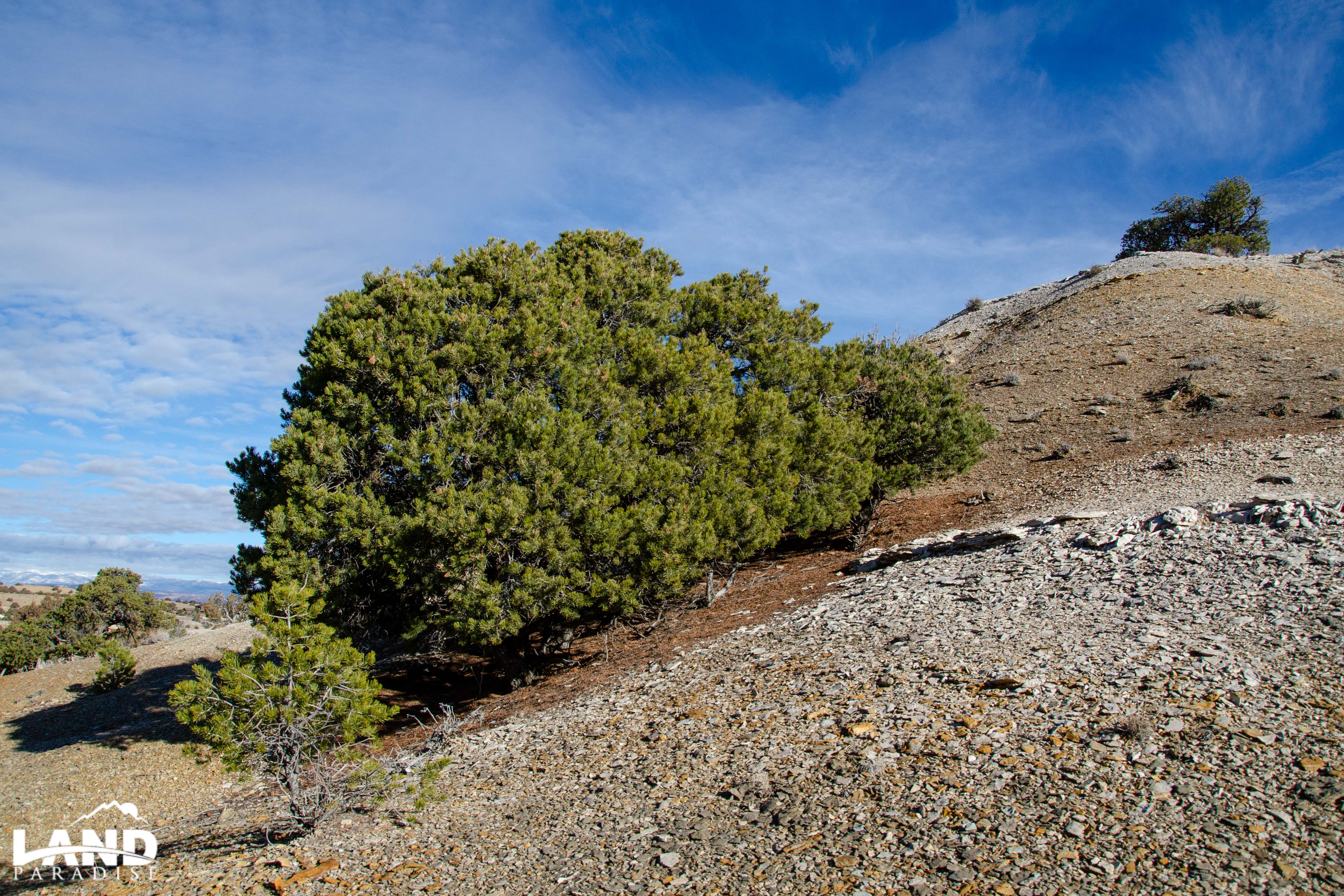 Bravery – Duchesne, UT