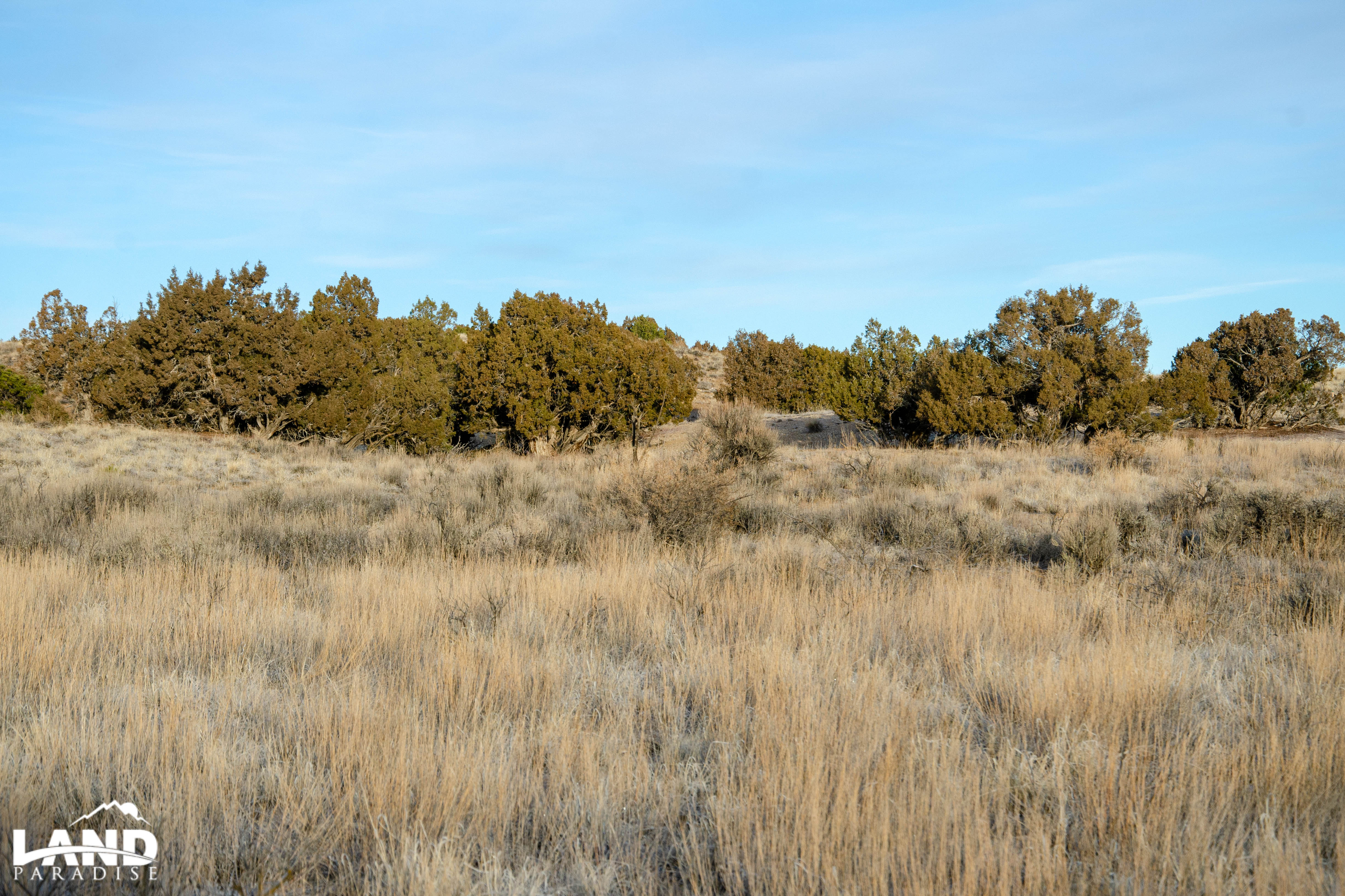 Coyote Canyon – Duchesne, UT