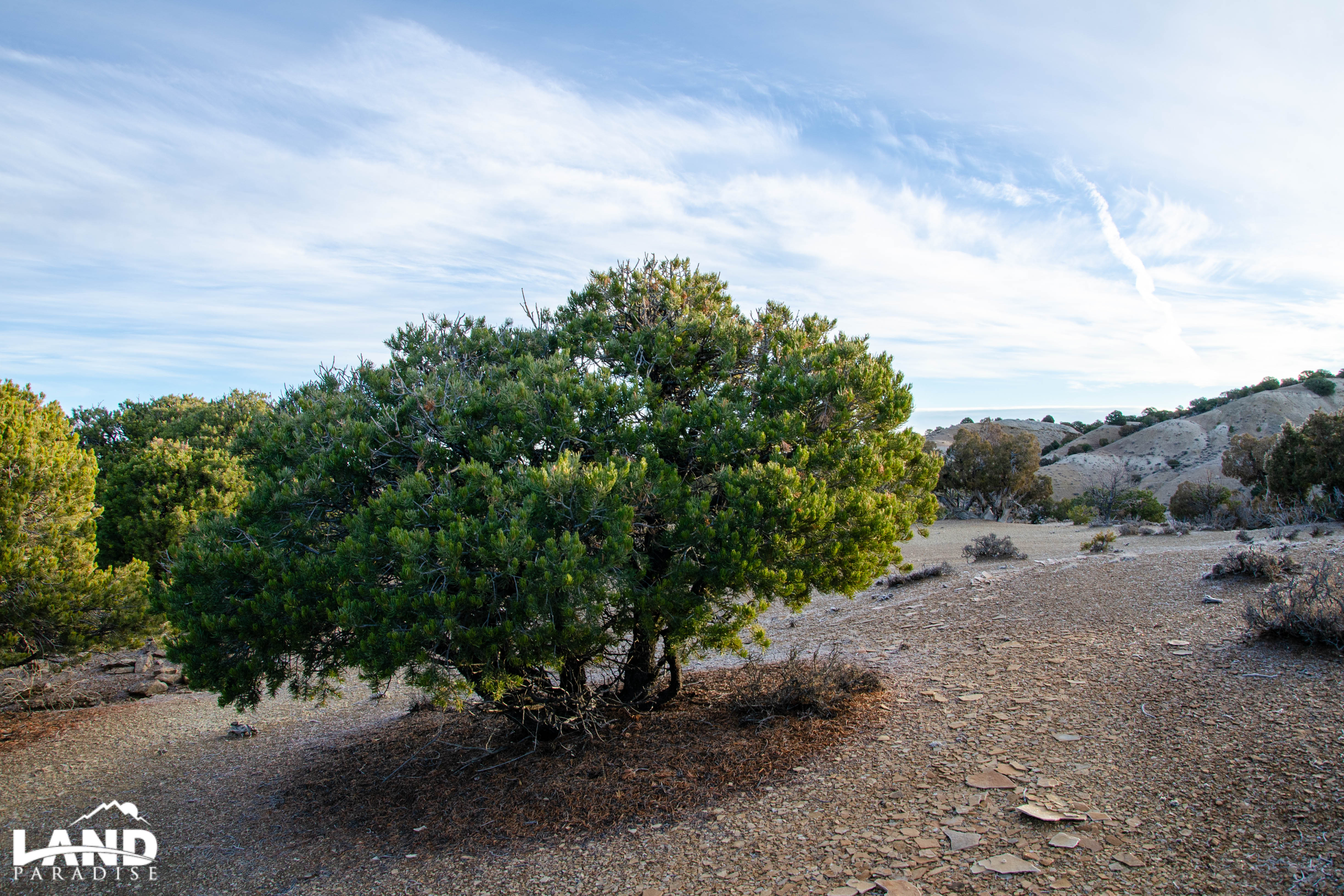 Coyote Canyon – Duchesne, UT