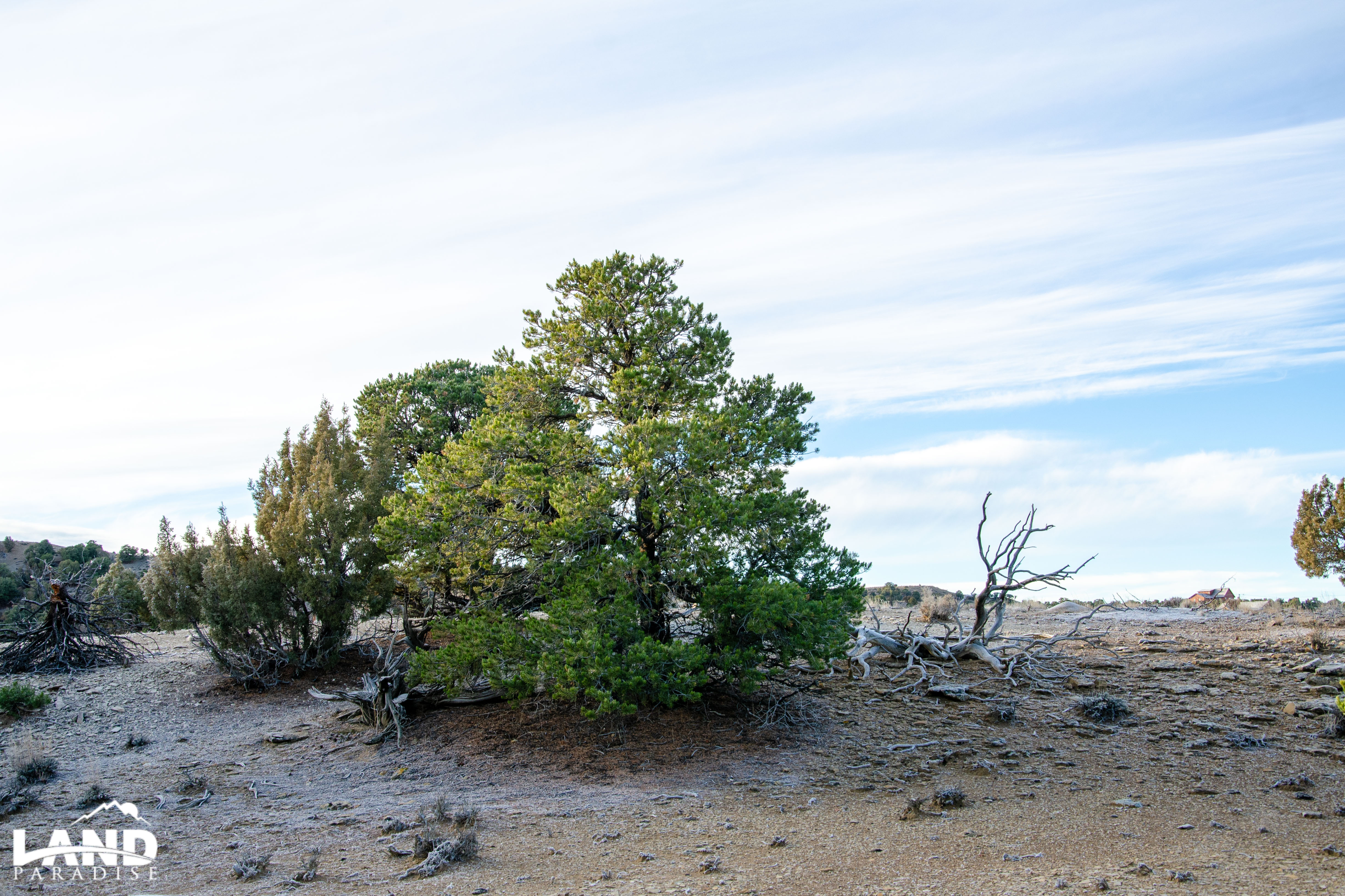 Coyote Canyon – Duchesne, UT