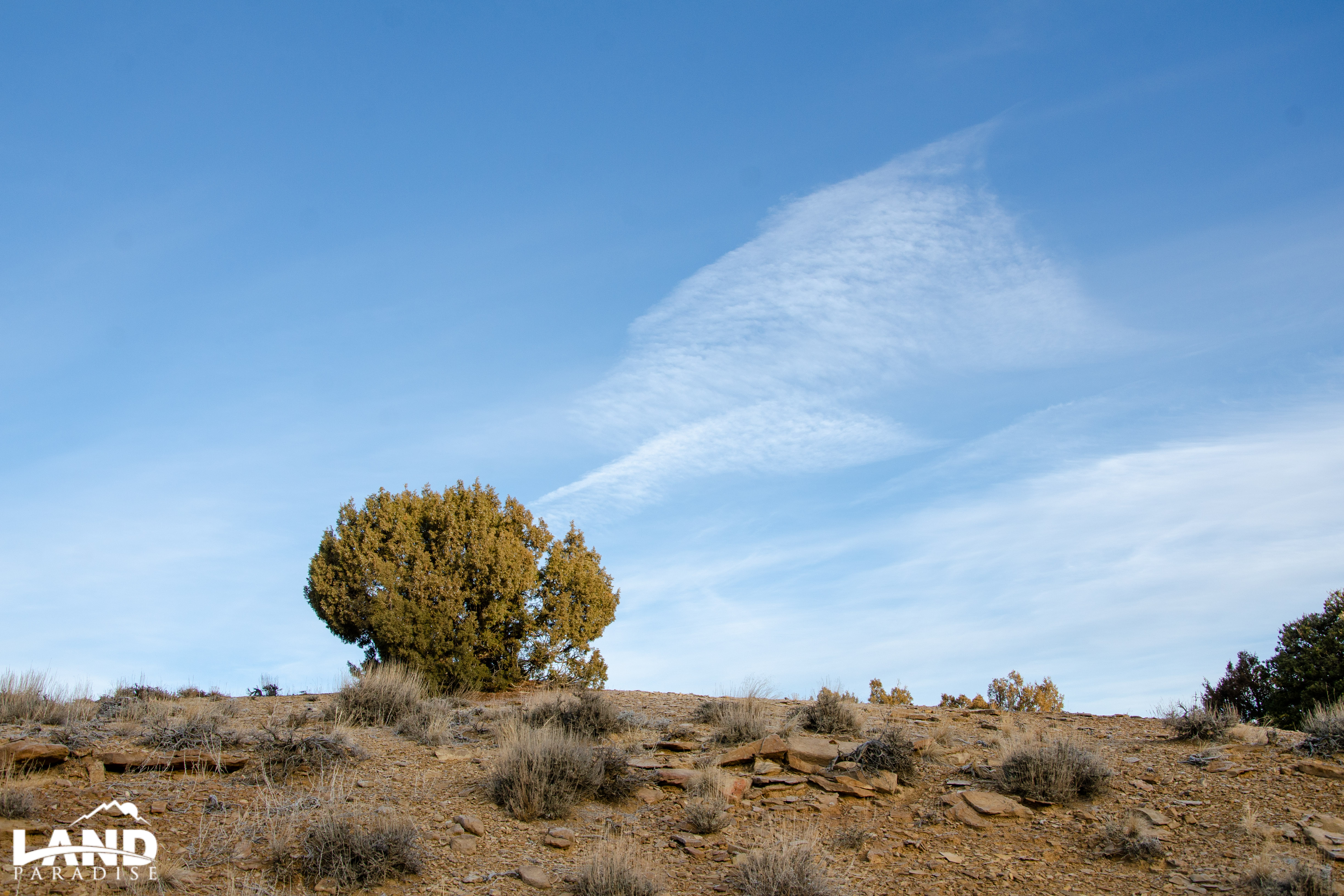 Coyote Canyon – Duchesne, UT